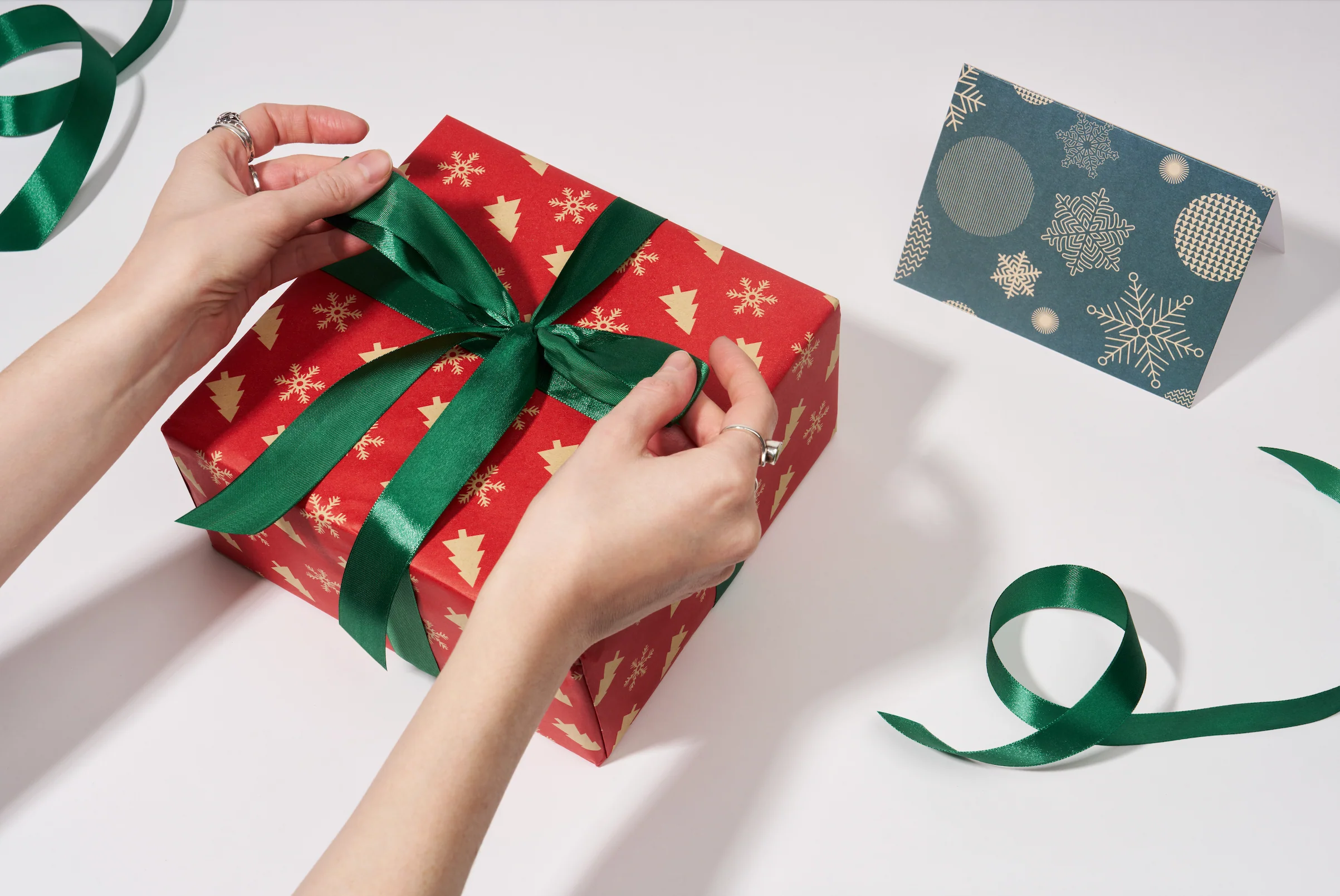 Gift Wrap + Personalized Card - The Premium Dog Lover's Box - Image 6
