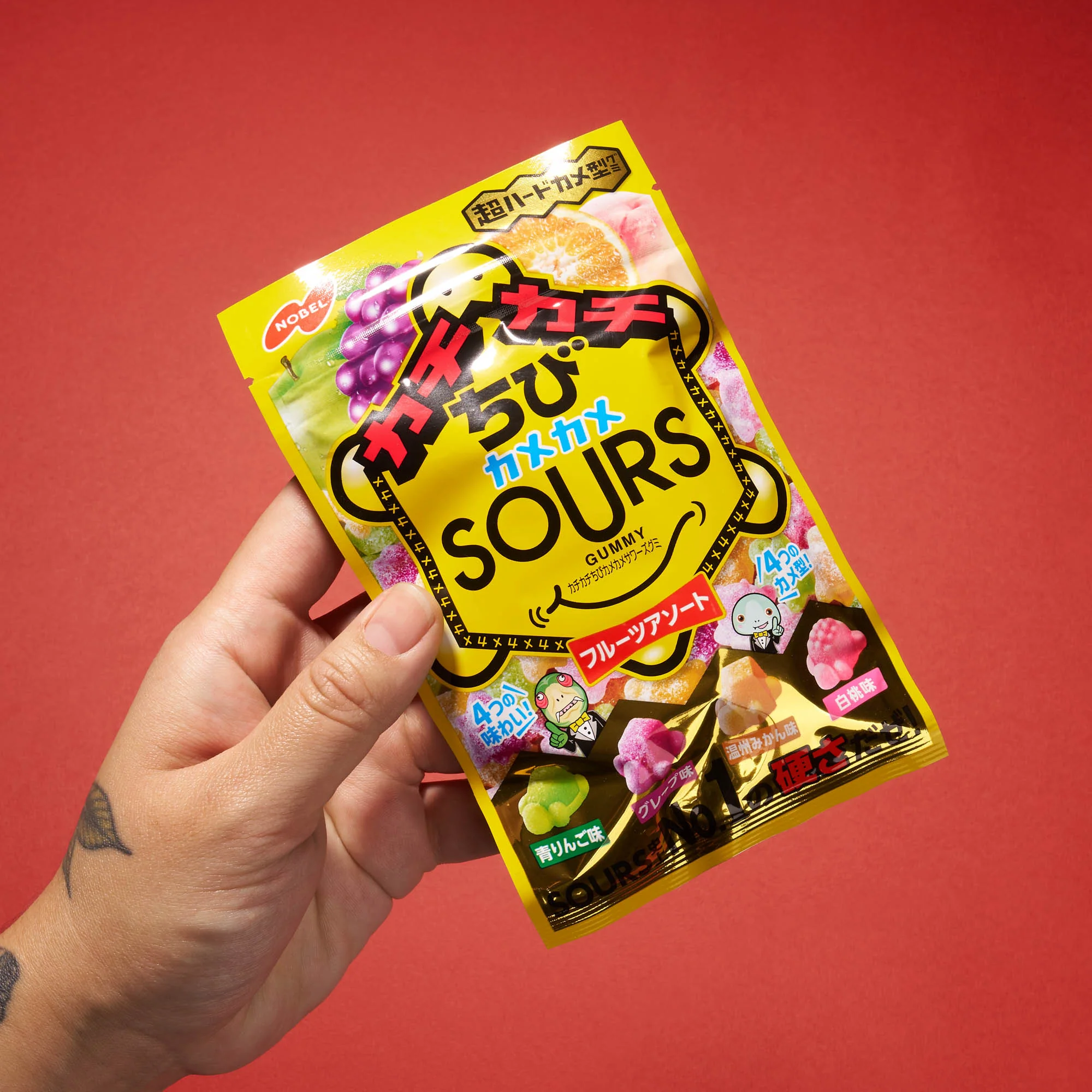 Hard Mini Turtle Sours Gummy: Fruit Mix (1 Bag) - Image 2