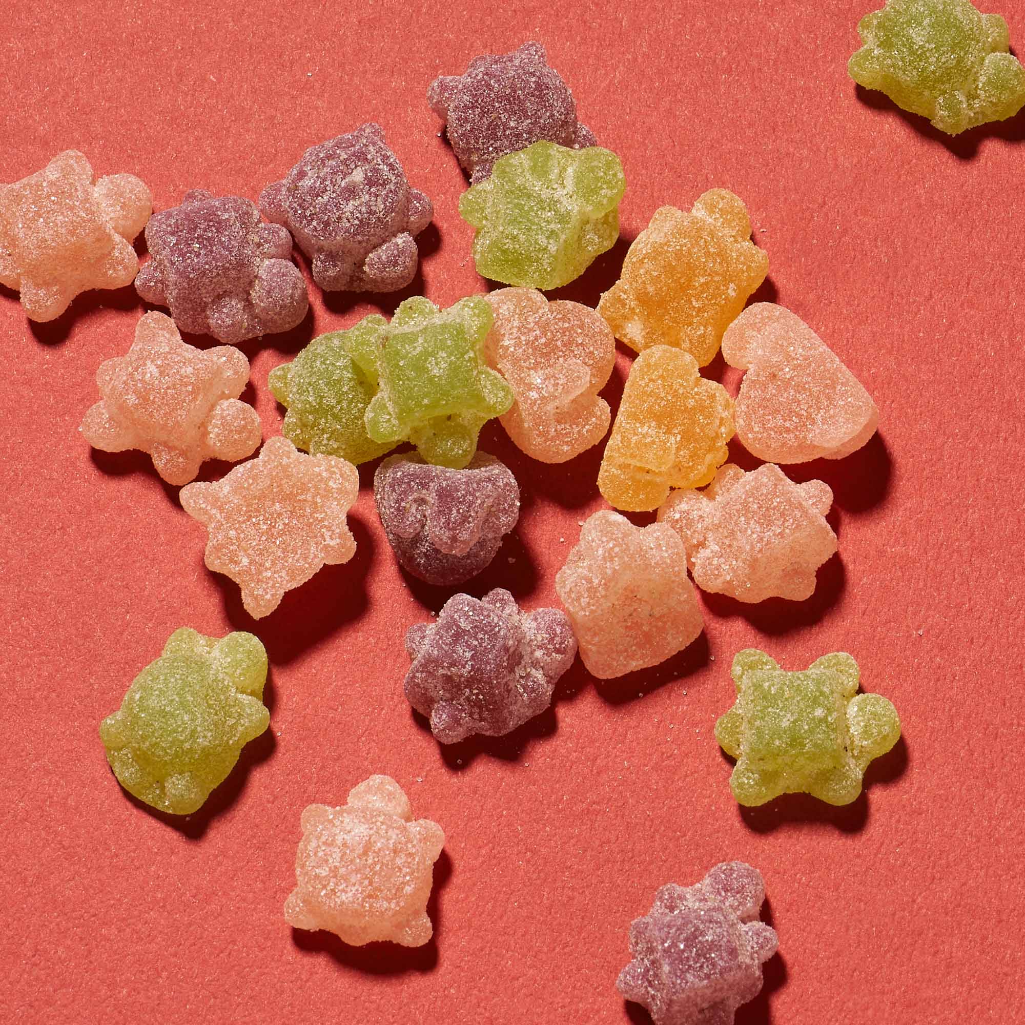 Hard Mini Turtle Sours Gummy: Fruit Mix (1 Bag) - Image 3