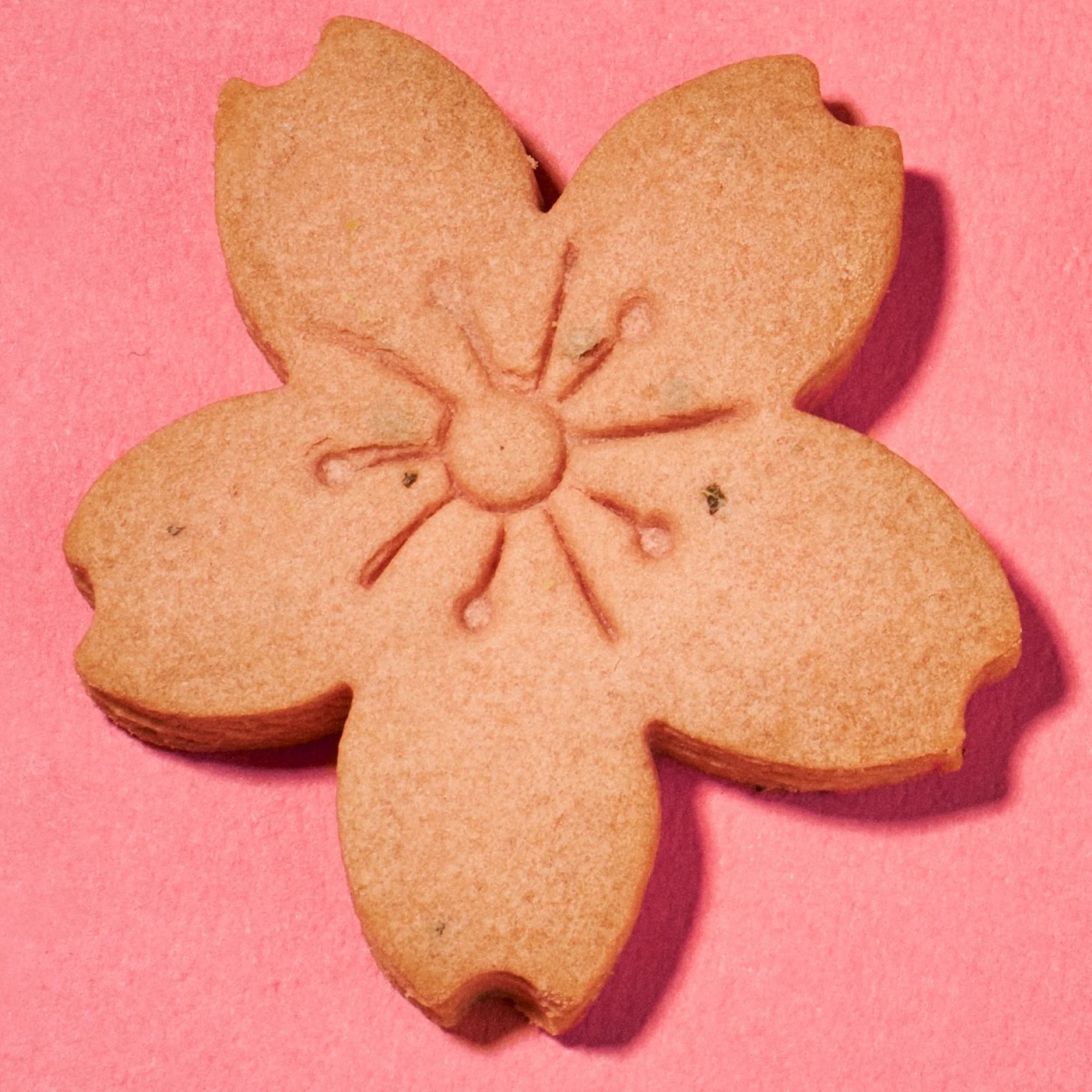 Japan Sakura Tree Cookie (1 piece) - Image 2