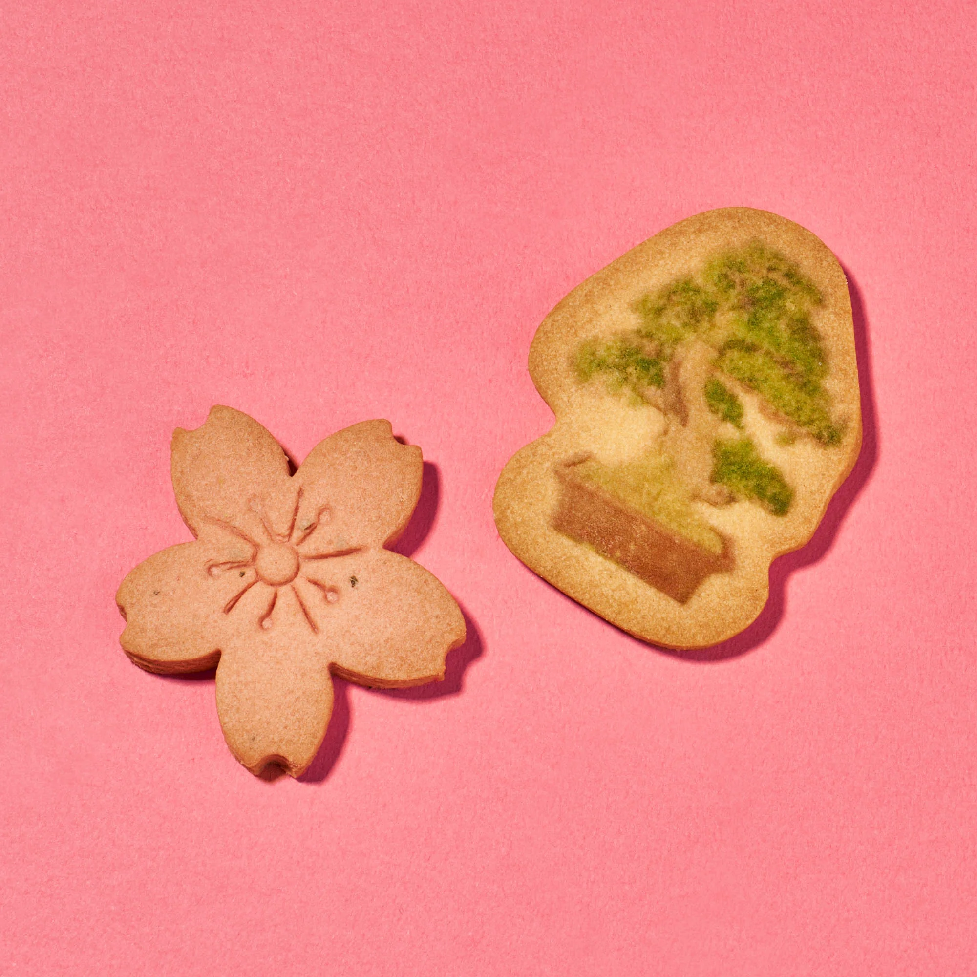 Japan Tree Cookie (1 Box, 16 pieces) - Image 3
