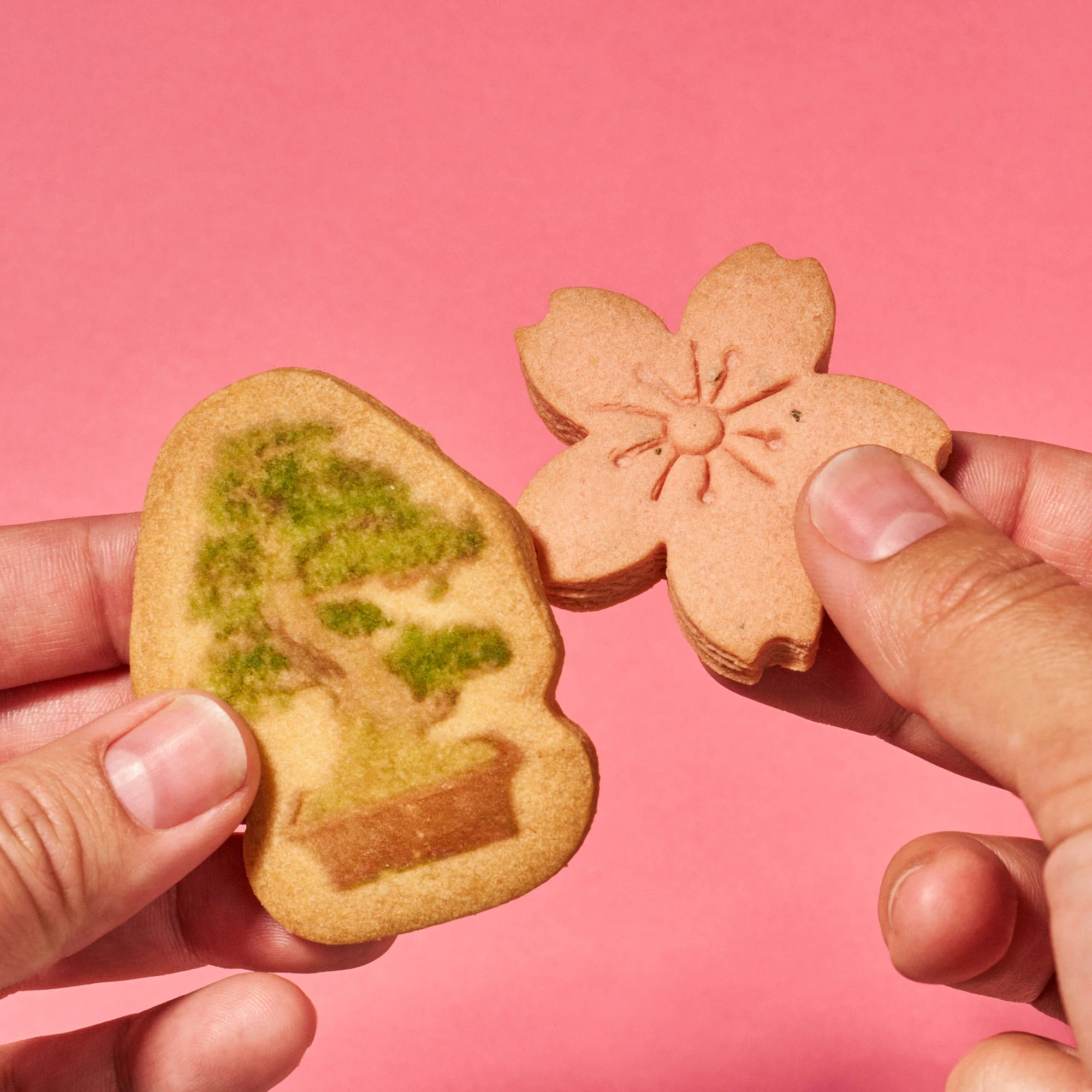 Japan Tree Cookie (1 Box, 16 pieces) - Image 4
