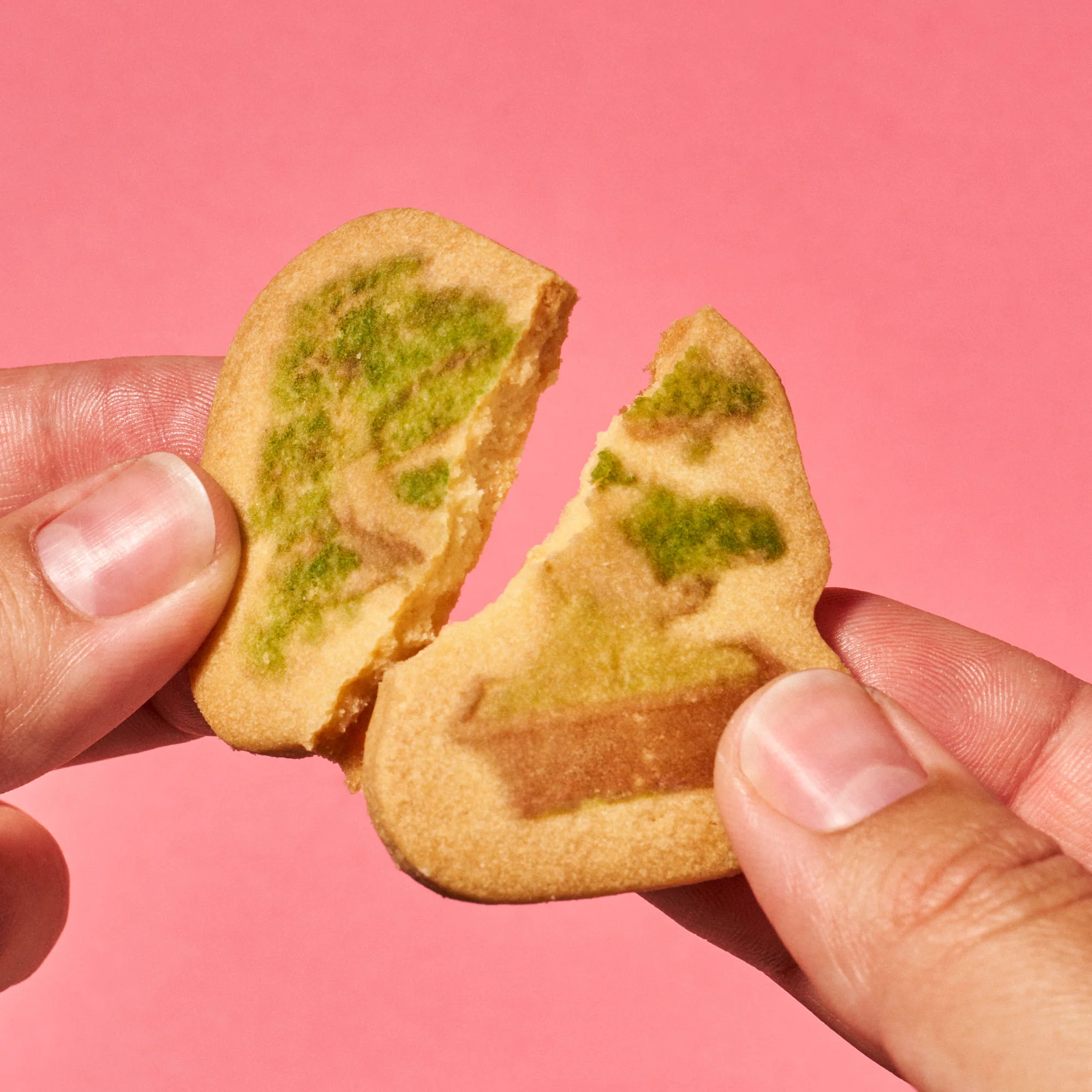 Japan Tree Cookie (1 Box, 16 pieces) - Image 6