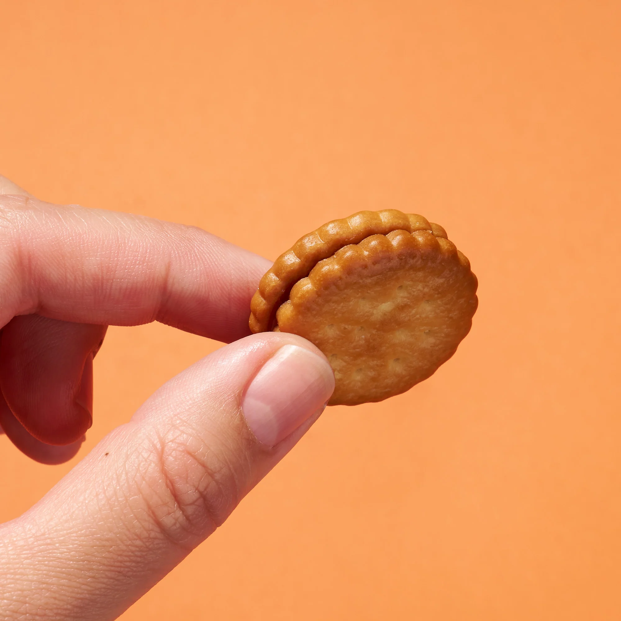 Millet Sandwich Cookie:Japanese Strawberry (1 Piece) - Image 4