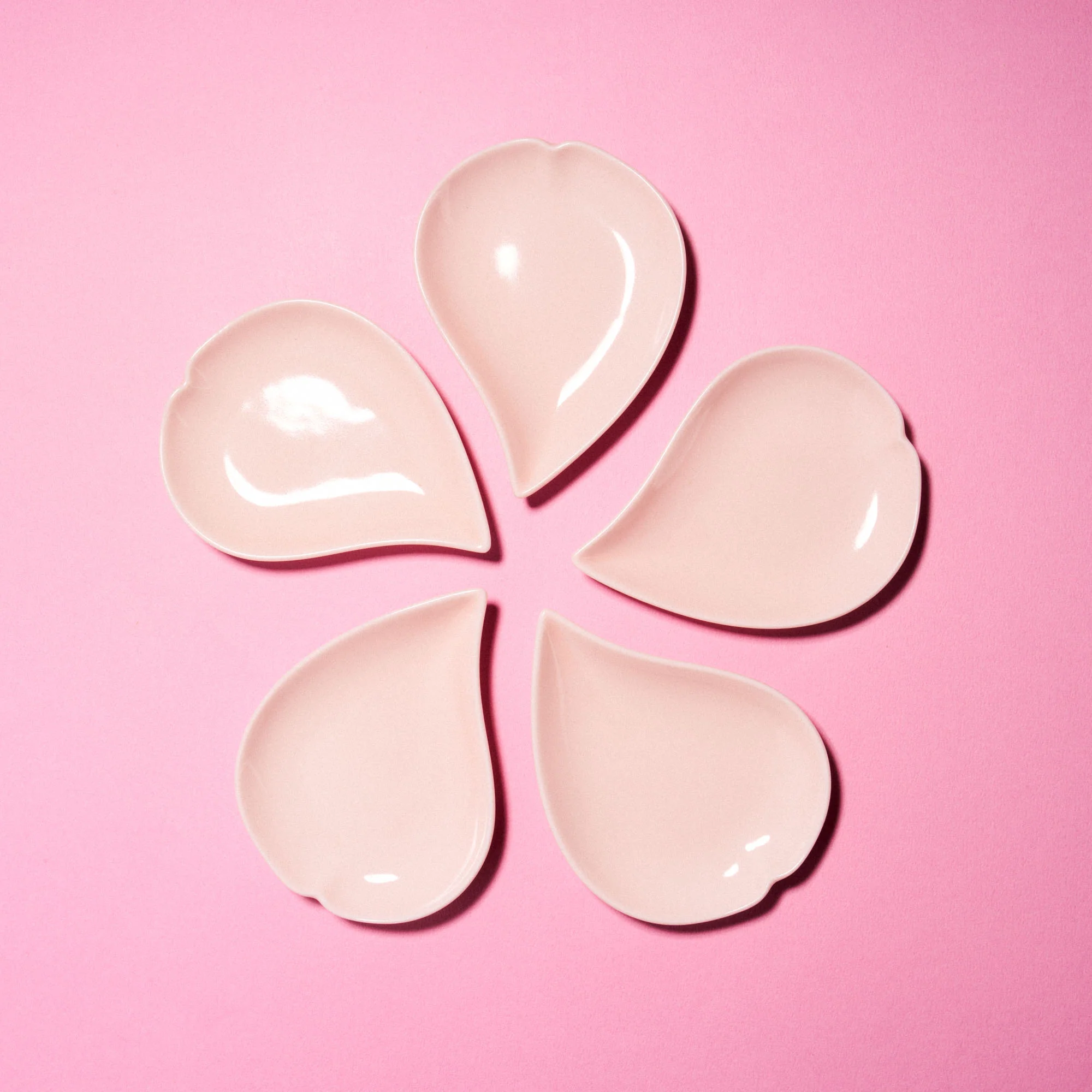 Sakura Petal Plate Set - Image 3