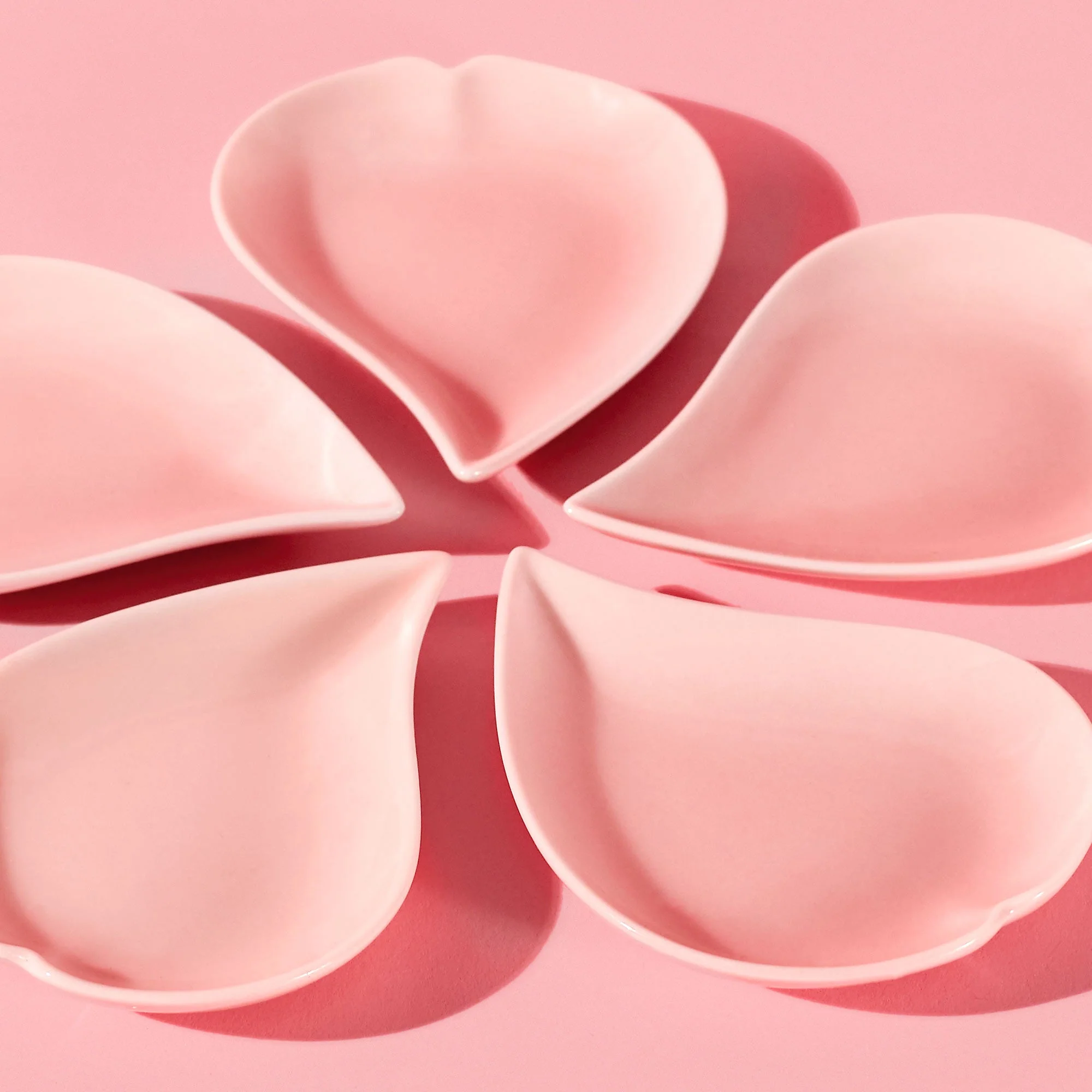 Sakura Petal Plate Set - Image 5